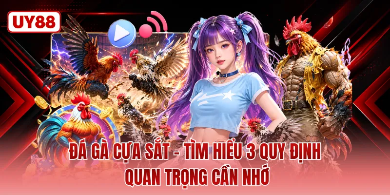 Đá Gà Cựa Sắt - Tìm Hiểu 3 Quy Định Quan Trọng Cần Nhớ